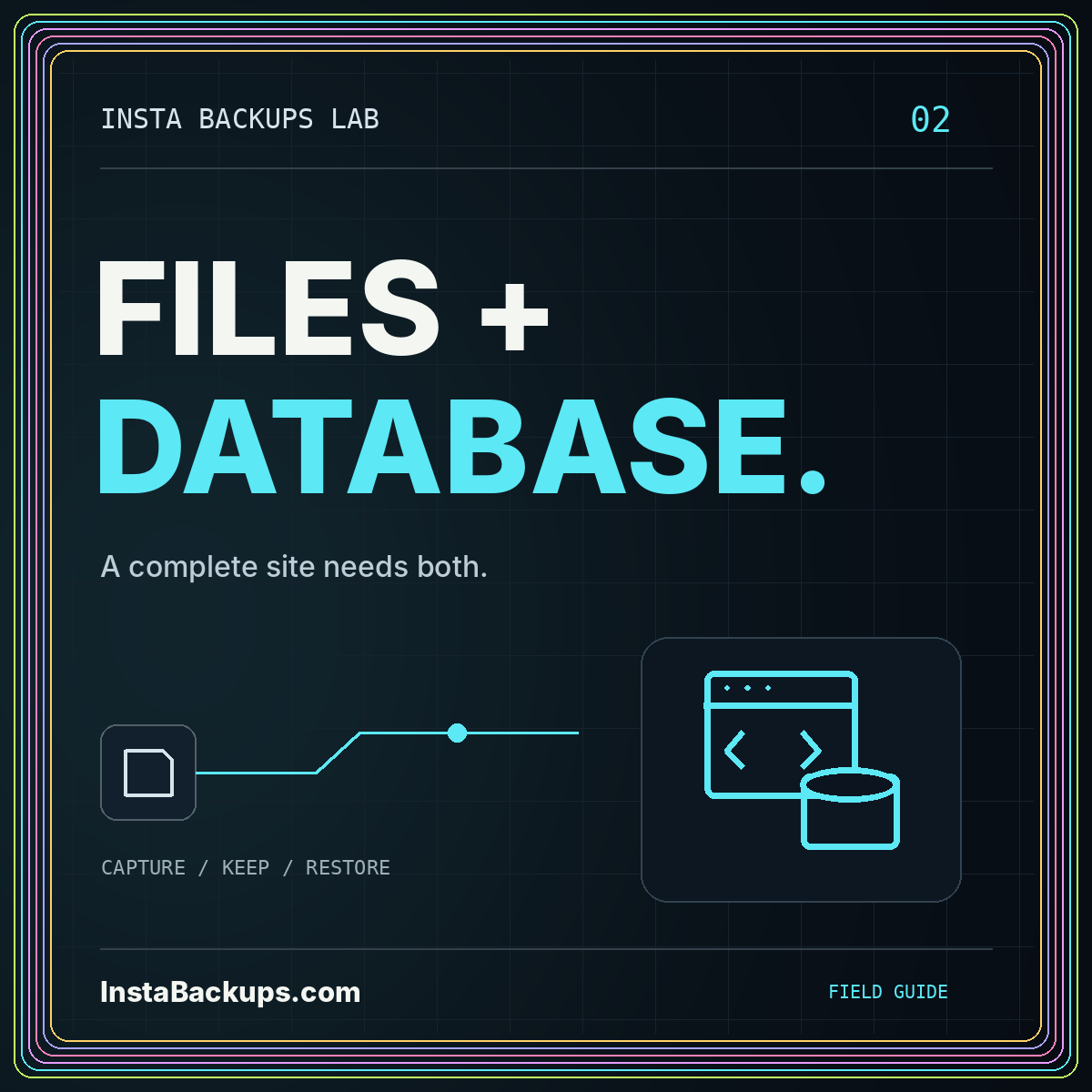 FILES + DATABASE. — A complete site needs both. InstaBackups.com neon illustration.